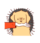 Daily Golden Retriever（個別スタンプ：19）