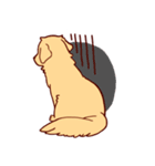 Daily Golden Retriever（個別スタンプ：21）