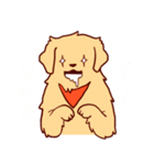 Daily Golden Retriever（個別スタンプ：22）