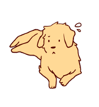 Daily Golden Retriever（個別スタンプ：24）