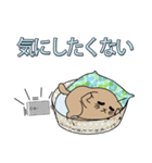 怠惰な猫（個別スタンプ：7）