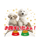 Signboad dog Miffy＆Kupu part2（個別スタンプ：24）