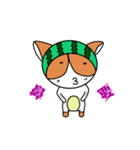 the cat like's to eat watermelon（個別スタンプ：4）