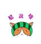 the cat like's to eat watermelon（個別スタンプ：5）