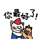 Puppy Chuan and Kitty Xiu 2（個別スタンプ：13）