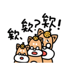 Puppy Chuan and Kitty Xiu 2（個別スタンプ：34）