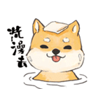 Boss Shiba inu（個別スタンプ：2）