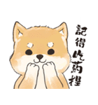 Boss Shiba inu（個別スタンプ：6）