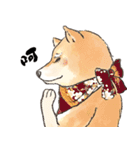 Boss Shiba inu（個別スタンプ：8）