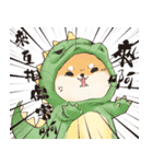 Boss Shiba inu（個別スタンプ：9）