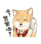 Boss Shiba inu（個別スタンプ：13）