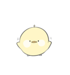 Pipi's expression of the emotions（個別スタンプ：8）