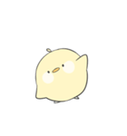 Pipi's expression of the emotions（個別スタンプ：10）