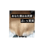 僕の1日（個別スタンプ：14）