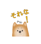 柴犬 みわ（個別スタンプ：31）