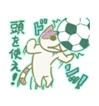 サッカー猫（個別スタンプ：19）