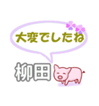 柳田「やなぎだ」さん専用。日常会話（個別スタンプ：13）