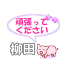 柳田「やなぎだ」さん専用。日常会話（個別スタンプ：17）