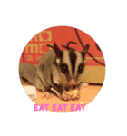 sugarglider* family（個別スタンプ：11）