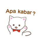 Indonesian little white cat（個別スタンプ：1）