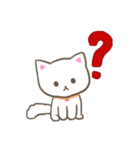 Indonesian little white cat（個別スタンプ：6）