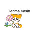 Indonesian cute cat v1（個別スタンプ：1）