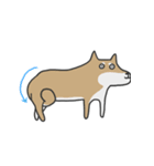 thrYEEEEEsome shibainu（個別スタンプ：12）