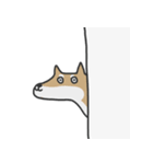 thrYEEEEEsome shibainu（個別スタンプ：17）