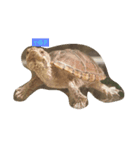 Turtle Road（個別スタンプ：1）