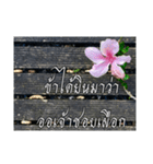 Thai Thai text（個別スタンプ：2）