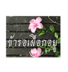 Thai Thai text（個別スタンプ：5）