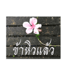 Thai Thai text（個別スタンプ：8）