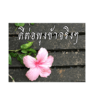 Thai Thai text（個別スタンプ：12）
