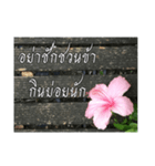 Thai Thai text（個別スタンプ：14）