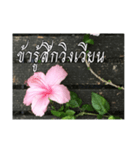 Thai Thai text（個別スタンプ：17）