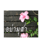 Thai Thai text（個別スタンプ：18）