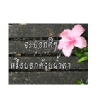 Thai Thai text（個別スタンプ：20）