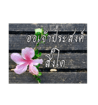 Thai Thai text（個別スタンプ：25）