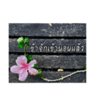 Thai Thai text（個別スタンプ：26）