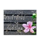 Thai Thai text（個別スタンプ：28）