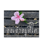 Thai Thai text（個別スタンプ：29）