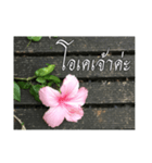 Thai Thai text（個別スタンプ：32）