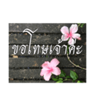 Thai Thai text（個別スタンプ：37）