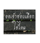 Thai Thai text 2（個別スタンプ：2）