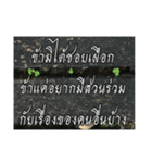 Thai Thai text 2（個別スタンプ：3）