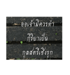 Thai Thai text 2（個別スタンプ：4）