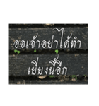 Thai Thai text 2（個別スタンプ：6）