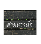 Thai Thai text 2（個別スタンプ：7）