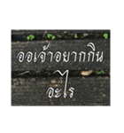 Thai Thai text 2（個別スタンプ：9）