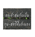 Thai Thai text 2（個別スタンプ：12）